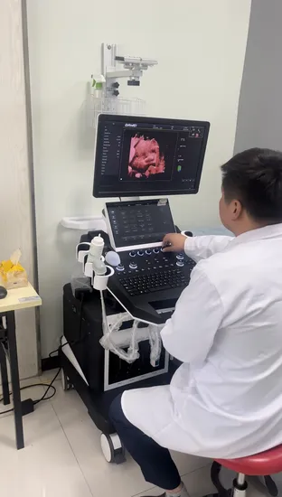 Equipo de diagnóstico ultrasónico médico Dwt50 alto